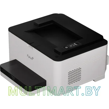 Принтер F+ PB301DNW картинка 3
